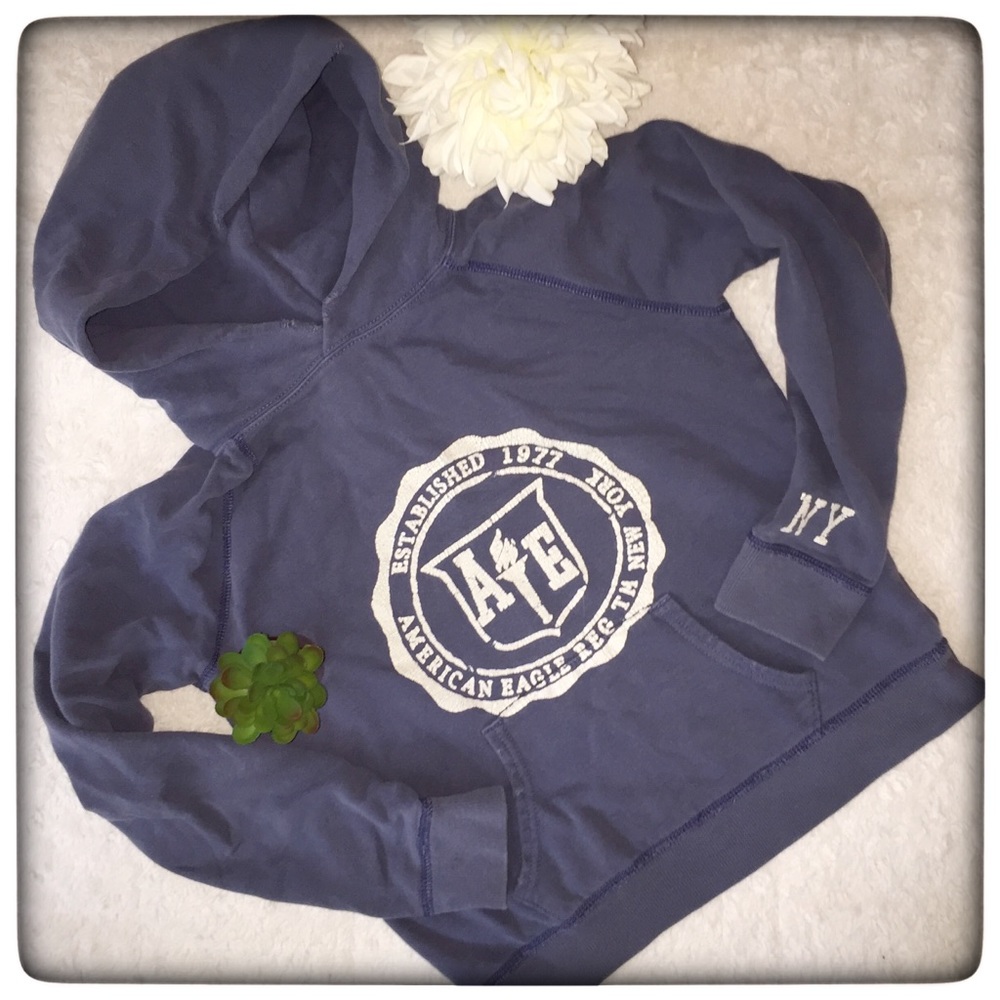 AE Y2K blue hoodie